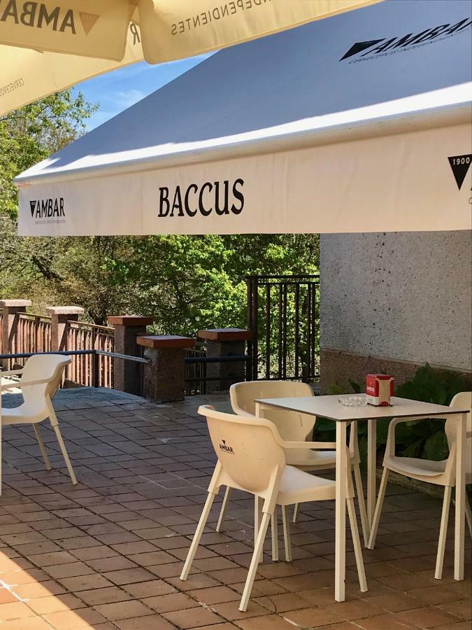Baccus Carballino